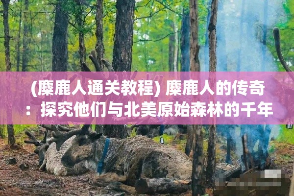 (麋鹿人通关教程) 麋鹿人的传奇：探究他们与北美原始森林的千年共生关系